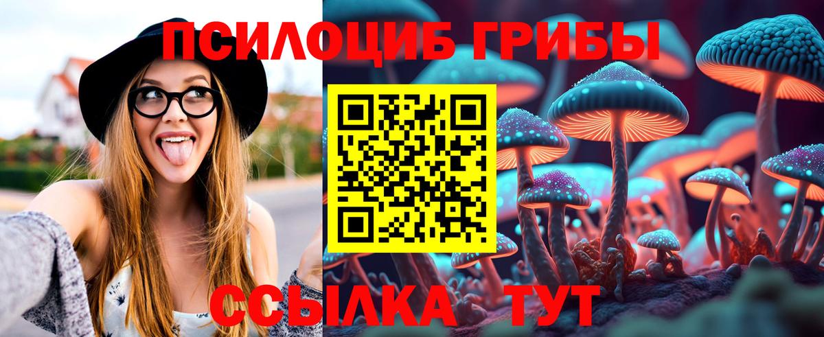 Шатура  Галлюциногенные грибы GOLDEN TEACHER  Вход с VPN  Псилоцибиновые грибы Cubensis 